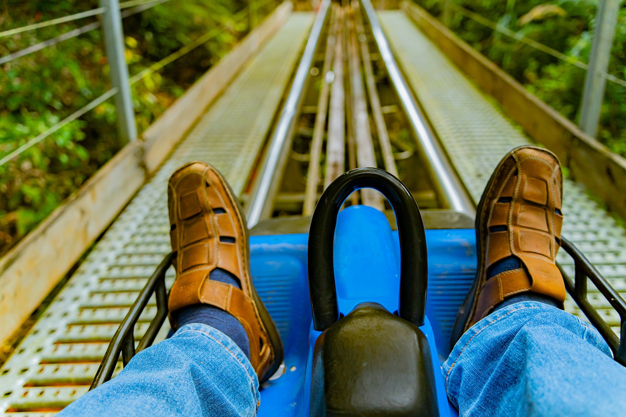 5 Reasons Some People Enjoy Roller-Coasters and Others Do Not