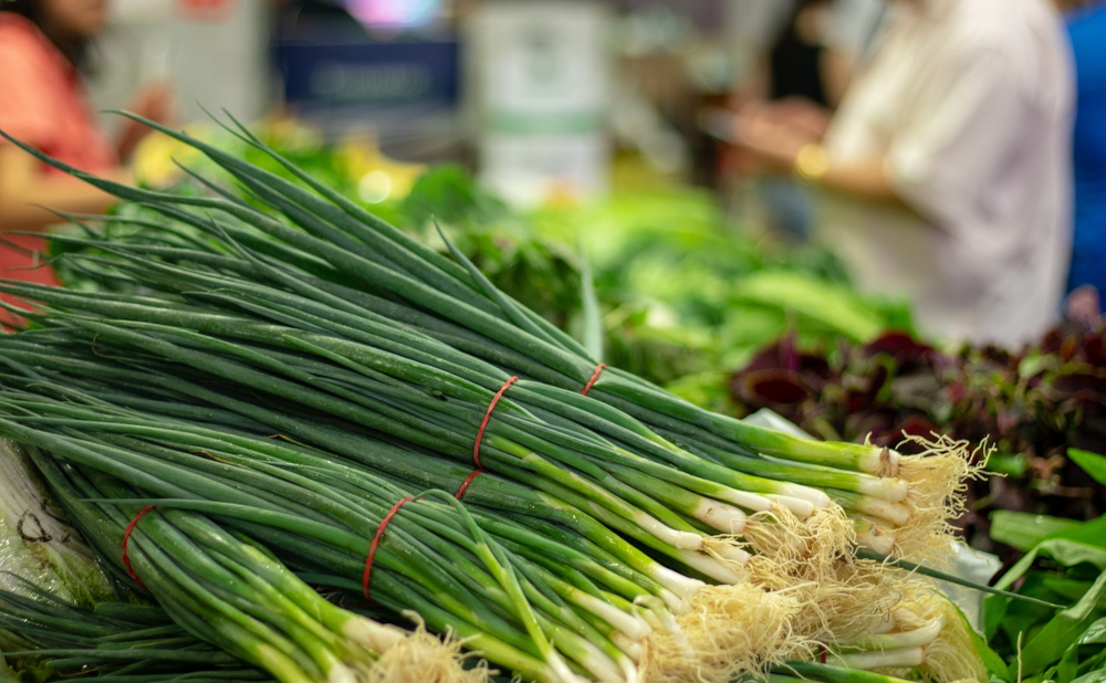 Green Onions: The Tasty Twist to Boost Your Health and Create Delicious Dishes