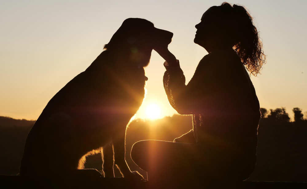 If You Want a Platform That Actually Cares, You Just Found It