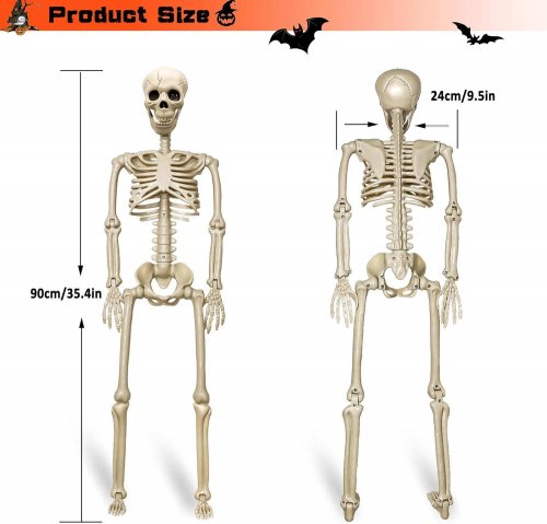 2 Pack 36"Halloween Skeleton