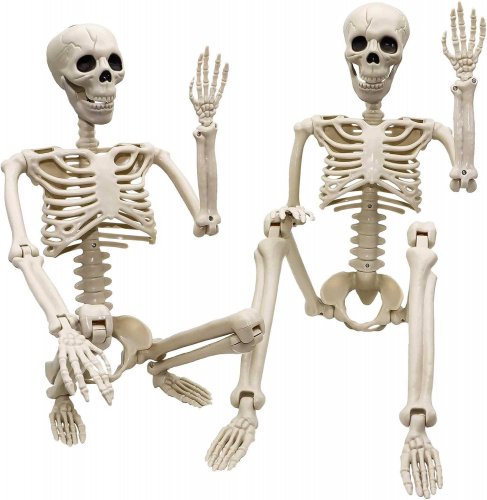 2 Pack 36"Halloween Skeleton